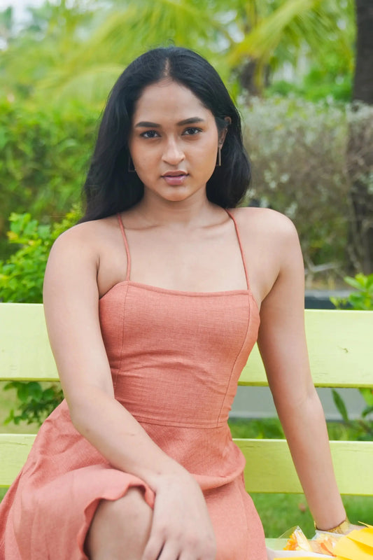 Wine Colour Sleeveless Dress (Copy) DLPL